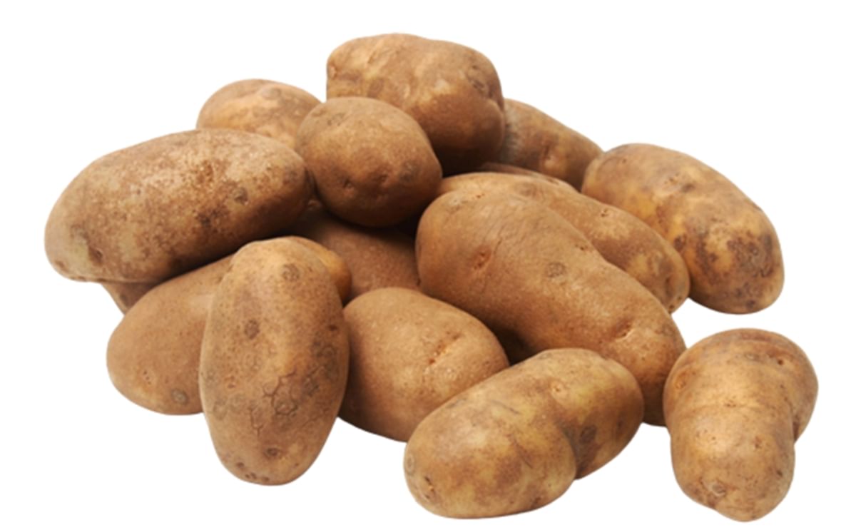 Spring-Planted Organic Burbank Russet Seed Potatoes - Grow
