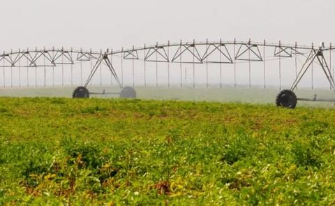 A center-pivot irrigation system waters a potato field about 16 miles from Hermiston on Aug. 29, 2025. A center-pivot irrigation system waters a potato field about 16 miles from Hermiston on Aug. 29, 2025.