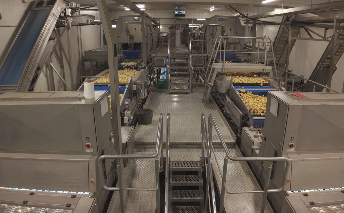 Learn how Iberica de Patatas upgraded to an integrated Wyma solution, boosting throughput, improving consistency, and cutting costs without halting production. Learn how Iberica de Patatas upgraded to an integrated Wyma solution, boosting throughput, improving consistency, and cutting costs without halting production.