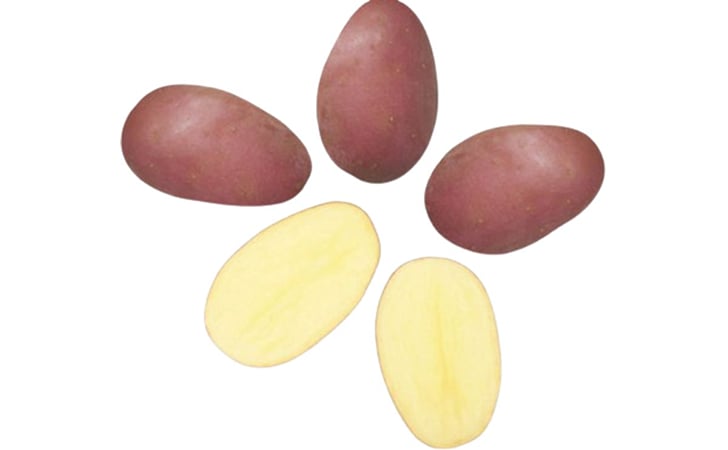 CEREZA CEREZA