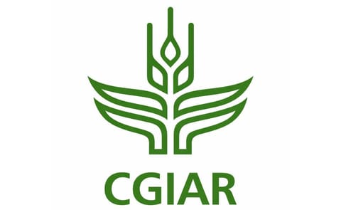 Consulta electrónica ‘La intensificación sostenible de la agricultura en América Latina y el Caribe’ Consulta electrónica ‘La intensificación sostenible de la agricultura en América Latina y el Caribe’