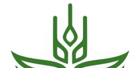 Consulta electrónica ‘La intensificación sostenible de la agricultura en América Latina y el Caribe’ 