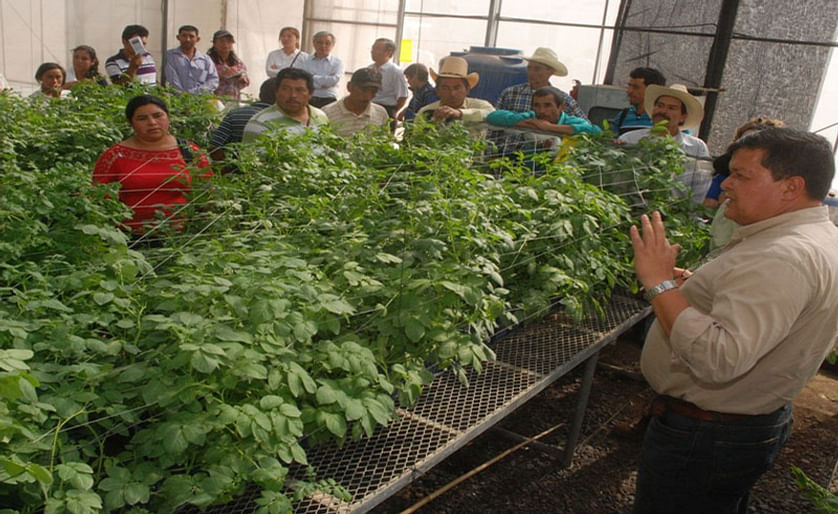 Corea promueve producción de semilla de papa en El Salvador