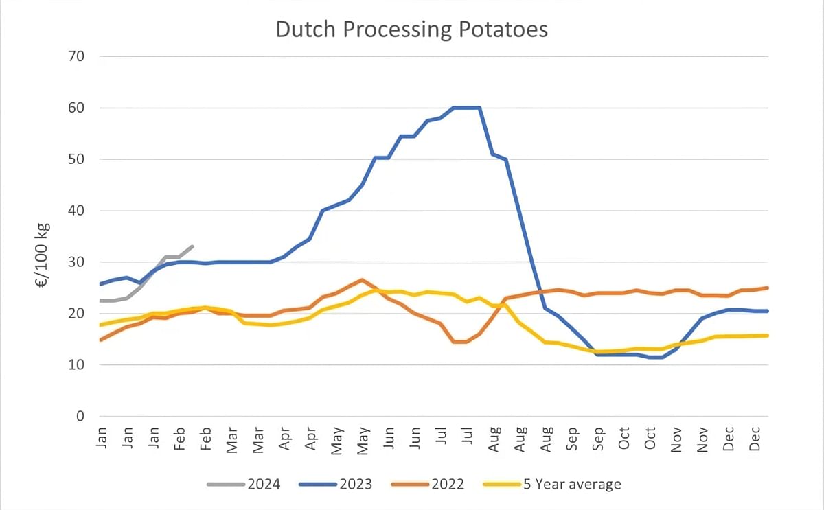 Dutch processing potatoes reach their highest-ever February price as availability continues to tighten