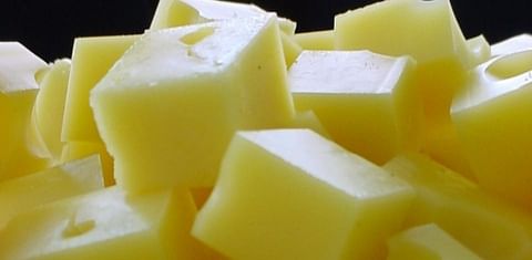 Cheese is the top dietary source of saturated fat in the US diet
