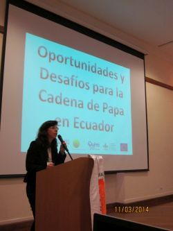 Oportunidades y desafíos para la cadena de papa en Ecuador