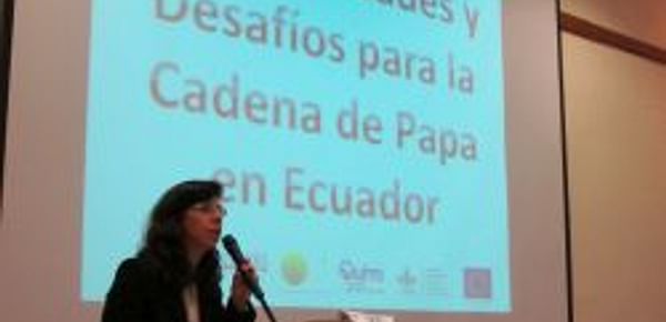 Oportunidades y desafíos para la cadena de papa en Ecuador