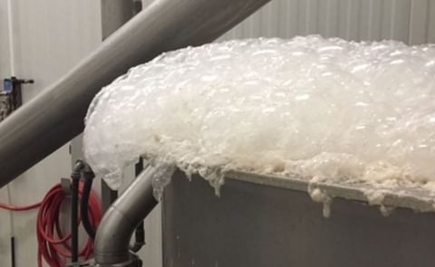 As water flows through a food processing facility, air becomes increasingly entrained within its volume. Once air makes its way to the surface, foam begins to form and grow. As water flows through a food processing facility, air becomes increasingly entrained within its volume. Once air makes its way to the surface, foam begins to form and grow.