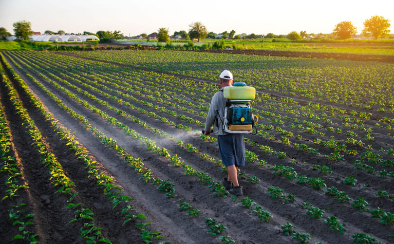 Integrated Chemical Control Strategies for Potato Cutworms