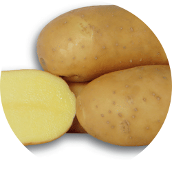 Chenoa Seed Potatoes