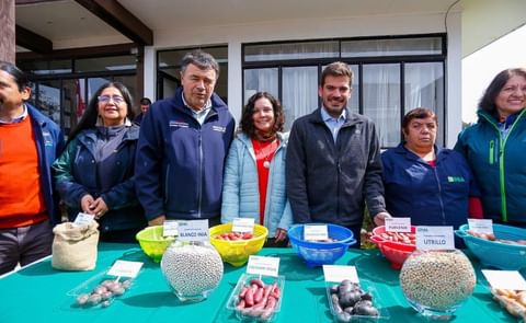 Chile: apoyo gubernamental al sector productivo Chile: apoyo gubernamental al sector productivo