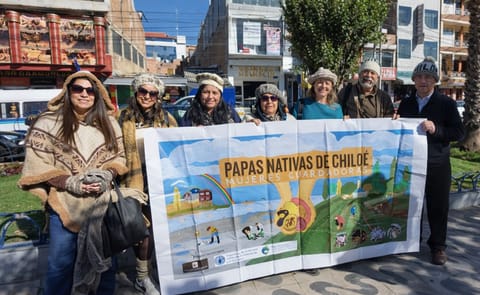 Women guardians of native potatoes in Chiloé, Chile promote the conservation of traditional potato biodiversity and agricultural heritage Women guardians of native potatoes in Chiloé, Chile promote the conservation of traditional potato biodiversity and agricultural heritage