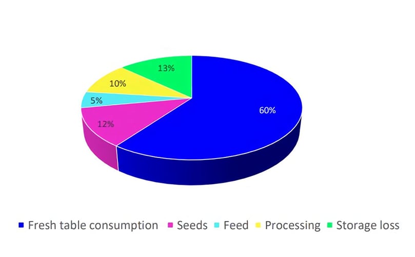 China: Estimated 2021 Fresh Potato Consumption China: Estimated 2021 Fresh Potato Consumption