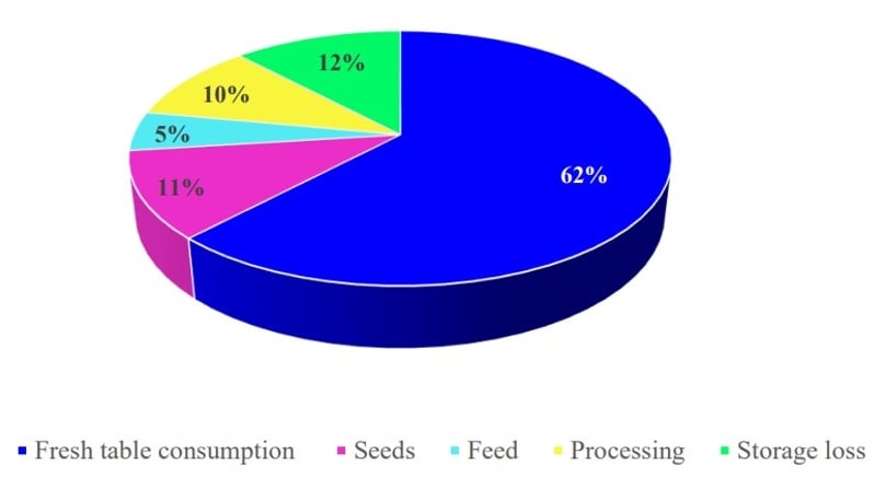 China: Forecast Fresh Potato Consumption in 2022 (Figure 2)(Courtesy: China Agricultural Outlook Report 2022) China: Forecast Fresh Potato Consumption in 2022 (Figure 2)(Courtesy: China Agricultural Outlook Report 2022)