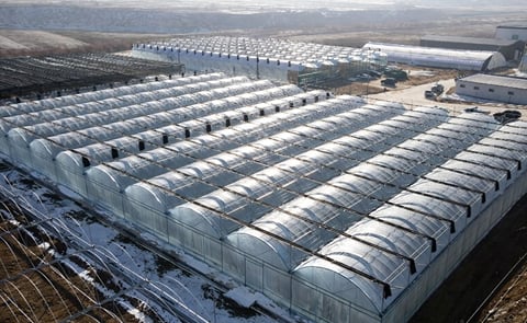 Agricultura inteligente en la provincia china de Gansu impulsa la producción anual de papa y semillas mediante biotecnología y automatización. Agricultura inteligente en la provincia china de Gansu impulsa la producción anual de papa y semillas mediante biotecnología y automatización.