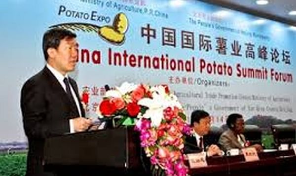 China International Potato Summit Forum Held in Beijing to Enhance Exchange and Cooperation
