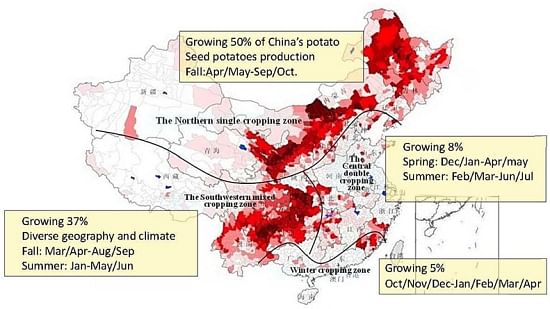 Overview of potato production in China. Potatoes are widely distributed throughout the country in four main agro-ecological zones (Source: YAAS, 2015).