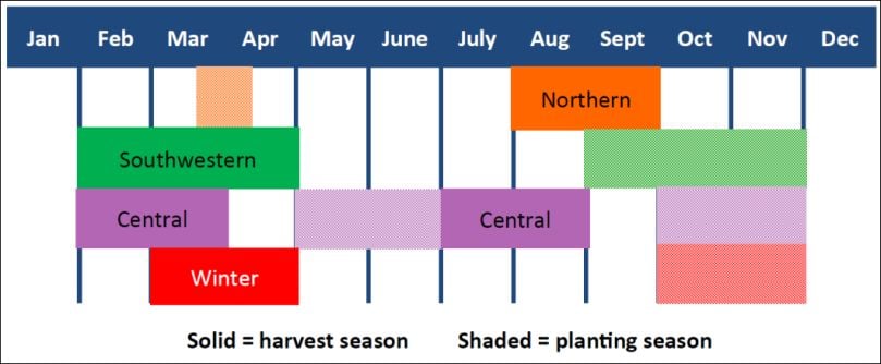 China's Potato Planting and Harvesting Seasons by crop zone China's Potato Planting and Harvesting Seasons by crop zone