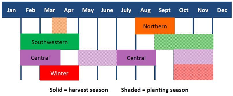 China's Potato Planting and Harvesting Seasons by crop zone