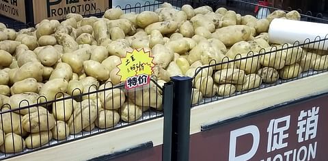 Potato promotion in a grocery store in Beijing