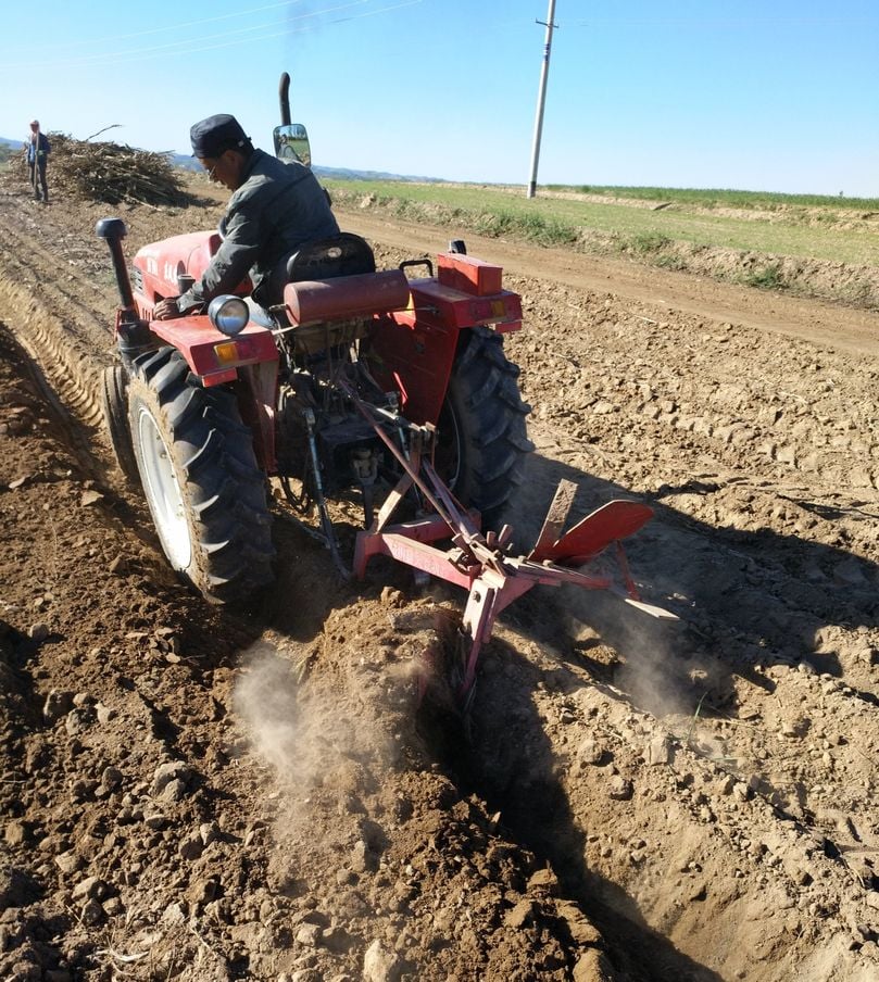 Usually, the Loess Plateau fields are plowed, or tilled, after the harvest and left bare until spring planting. Usually, the Loess Plateau fields are plowed, or tilled, after the harvest and left bare until spring planting.