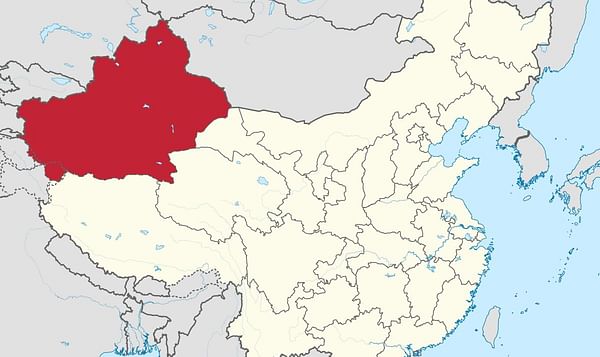 New potato research institute established in China&#039;s Xinjiang Uygur Autonomous Region