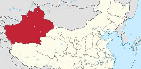 New potato research institute established in China&#039;s Xinjiang Uygur Autonomous Region