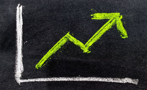 China's potato exports hit another record in August China's potato exports hit another record in August