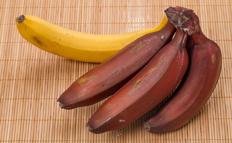 The World of Bananas Behind Your Favorite Chips