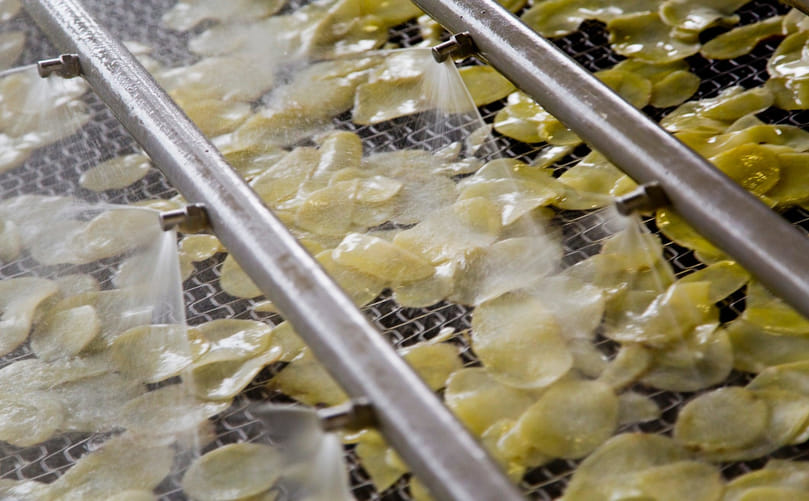 Potato Washing and Cleaning in a Continuous Potato Chip Processing Line Potato Washing and Cleaning in a Continuous Potato Chip Processing Line