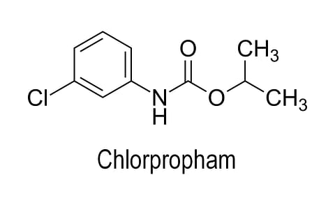Entering a new era in potato storage: Belgapom has formulated its position on how to handle chlorpropham as of the 2020 harvest. Entering a new era in potato storage: Belgapom has formulated its position on how to handle chlorpropham as of the 2020 harvest.