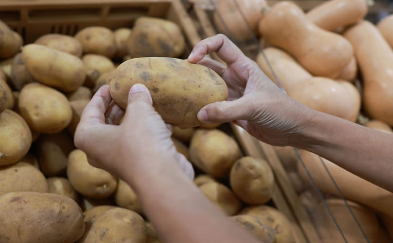 Selecting Fresh Potatoes: Quality Indicators for Firmness, Skin, and Sprout-Free Tubers
