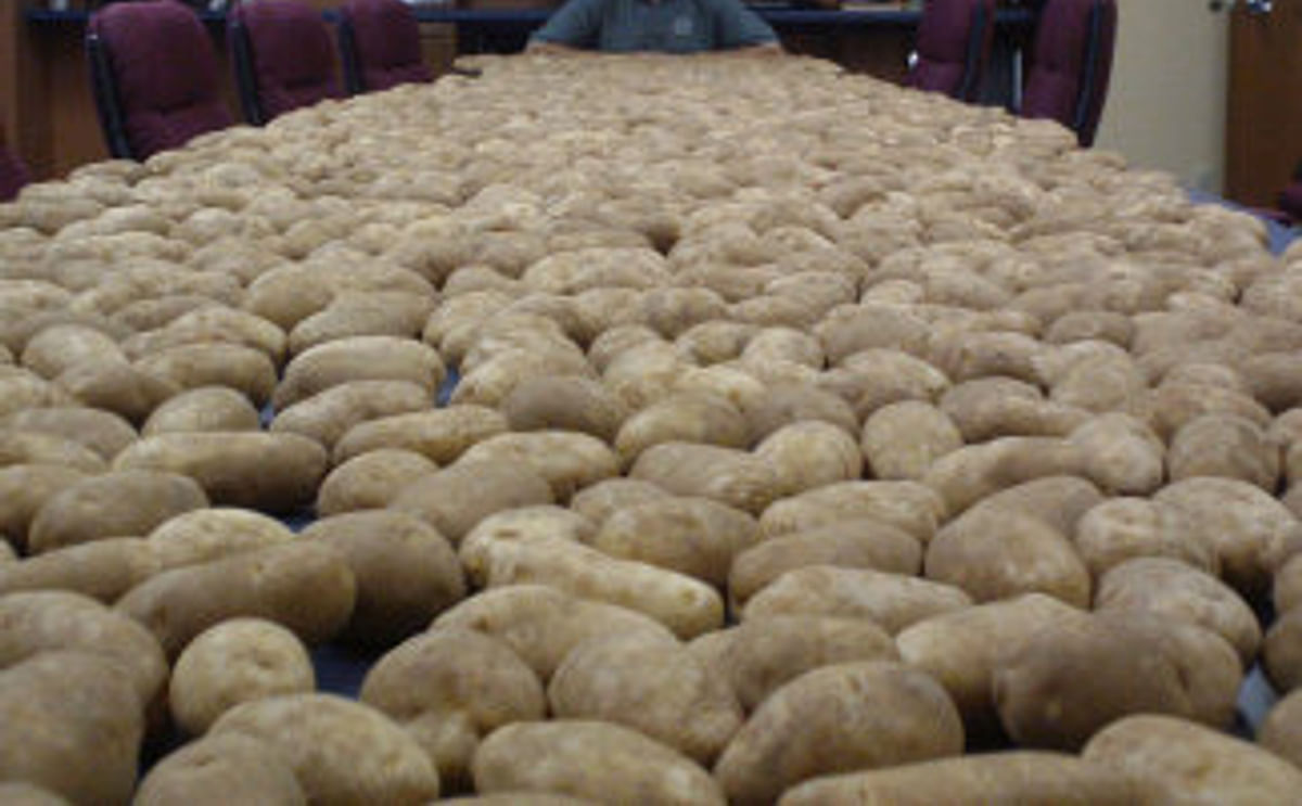 Chris Voigt (20-potatoes-a-day) recognized as Potato Man of the Year by The Packer