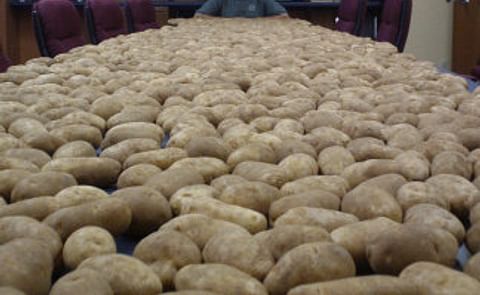 Chris Voigt (20-potatoes-a-day) recognized as Potato Man of the Year by The Packer Chris Voigt (20-potatoes-a-day) recognized as Potato Man of the Year by The Packer