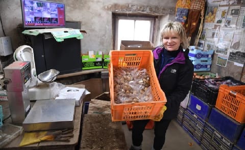 Christine Hellio, from Manor Farm in St Ouen, Jersey Christine Hellio, from Manor Farm in St Ouen, Jersey