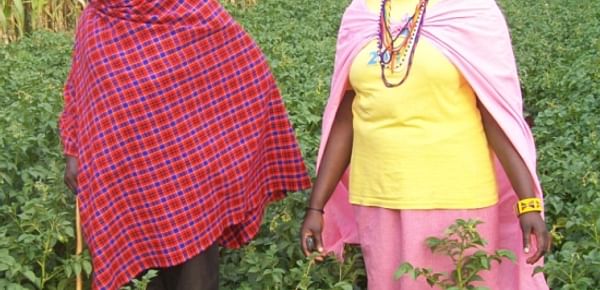 Masaï vrouw wordt aardappelpionier