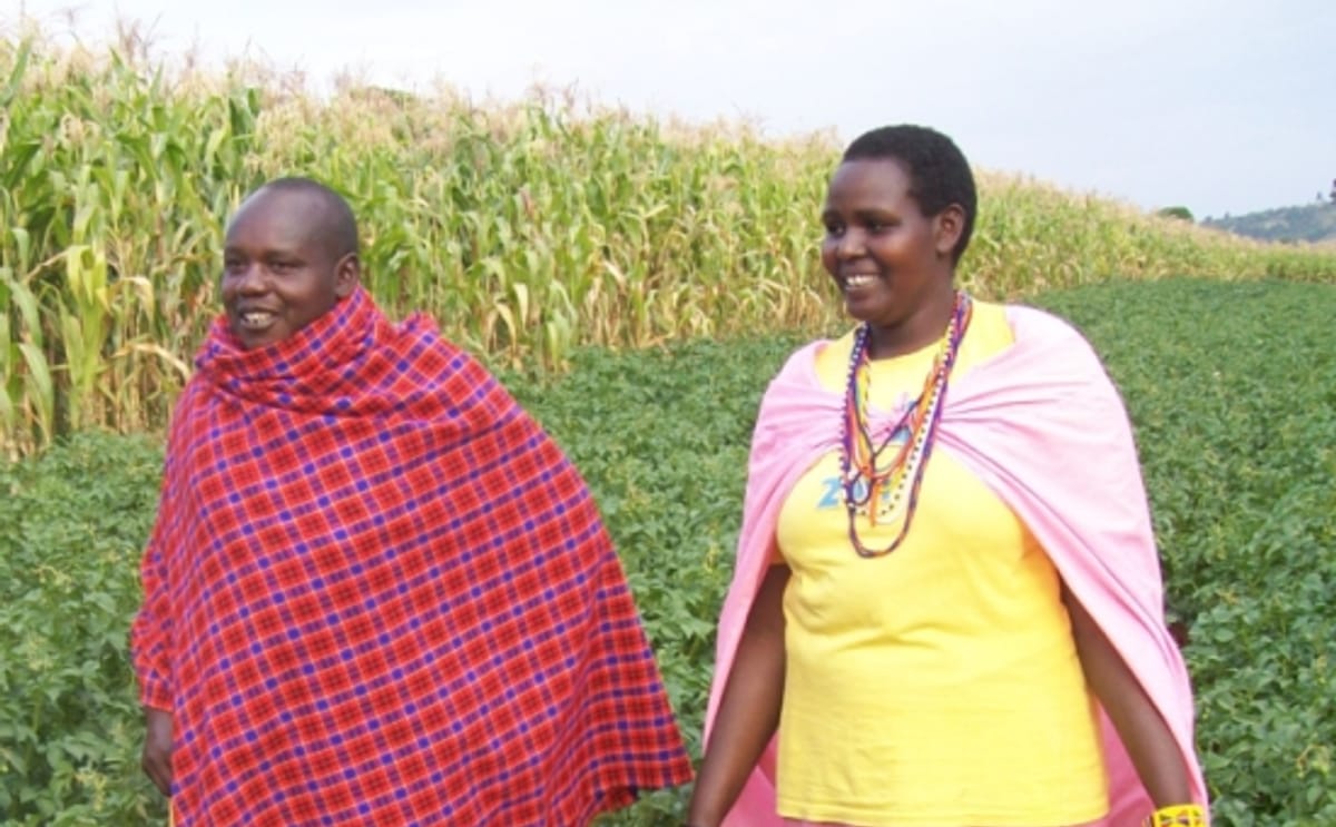 Masaï vrouw wordt aardappelpionier Masaï vrouw wordt aardappelpionier