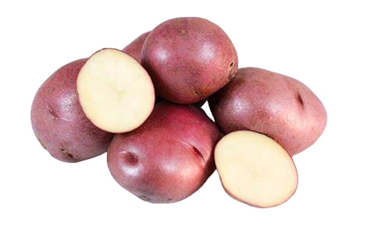 CIKLAMEN CIKLAMEN
