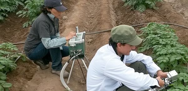 Innovación científica del CIP hará posible cultivar papa ahorrando agua