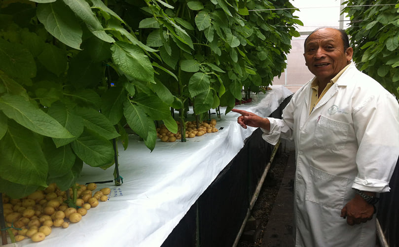 Chuquillanqui demonstrates the soilless technology used to grow potato seed Chuquillanqui demonstrates the soilless technology used to grow potato seed