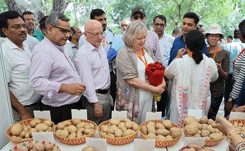 CIP launches South Asia Regional Centre in Agra to boost potato research and farmer livelihoods. CIP launches South Asia Regional Centre in Agra to boost potato research and farmer livelihoods.