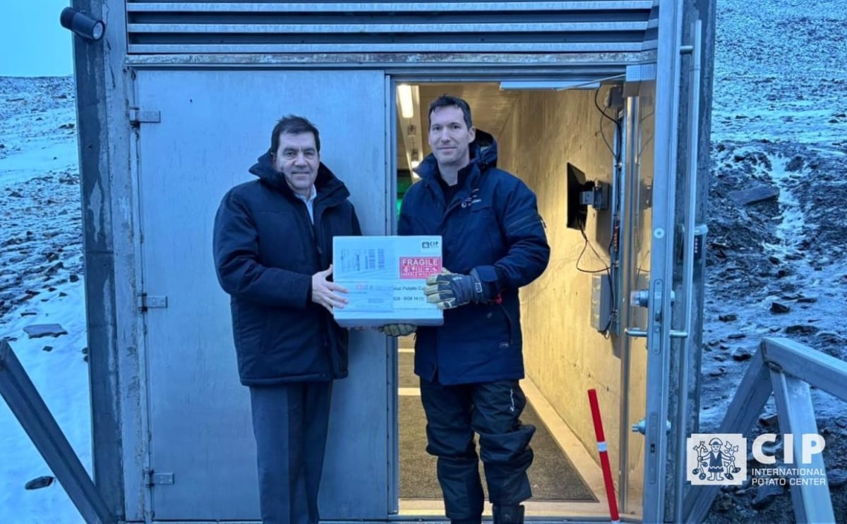 CIP deposits 1,027 seed accessions at the Svalbard Global Seed Vault in Norway to preserve Peru’s agricultural biodiversity. CIP deposits 1,027 seed accessions at the Svalbard Global Seed Vault in Norway to preserve Peru’s agricultural biodiversity.