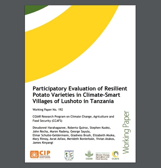 Findings are presented in a recently published working paper entitled Participatory Evaluation of Resilient Potato Varieties in Climate-Smart Villages of Lushoto in Tanzania