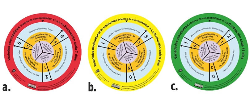 Juego de ruedas para el manejo del tizón tardío de la papa: a) color rojo para variedades susceptibles, b) color amarillo para variedades moderadamente resistentes, y c) color verde para variedades resistentes. Juego de ruedas para el manejo del tizón tardío de la papa: a) color rojo para variedades susceptibles, b) color amarillo para variedades moderadamente resistentes, y c) color verde para variedades resistentes.