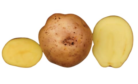 CIP-Kallpa Yawri CIP-Kallpa Yawri