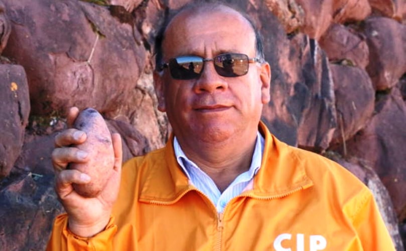 Manuel Gastelo, mejorador de papas del CIP, lideró el desarrollo de Kawsay. (Cortesía: CIP, Centro Internacional de la Papa)