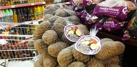 Papas de la variedad Kawsay se vendieron en supermercados por primera vez este año.