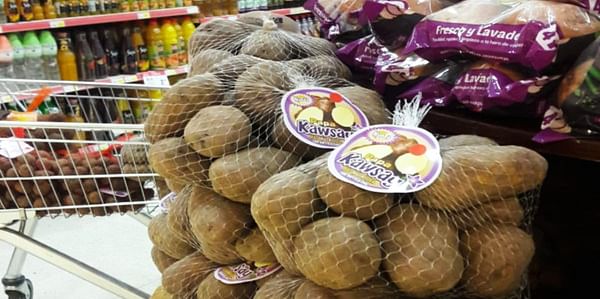 Papas de la variedad Kawsay se vendieron en supermercados por primera vez este año.
