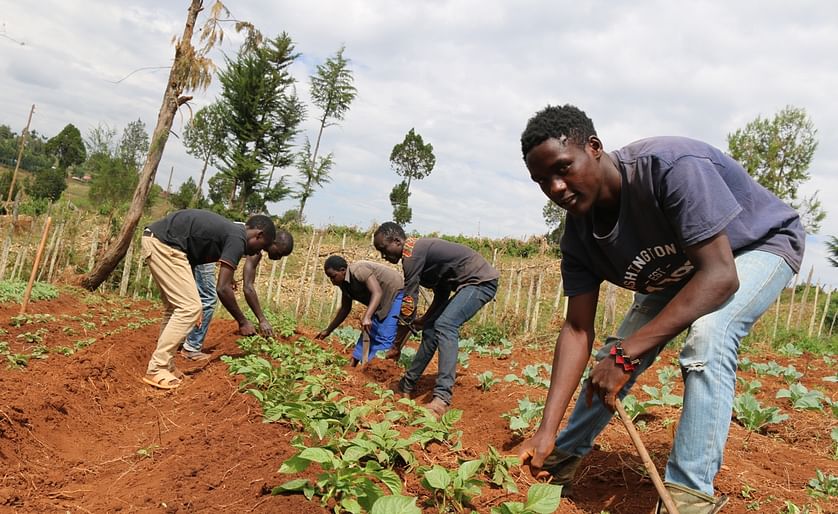 Youth group members in Marakwet County who have ventured into seed potato production from cuttings. (Courtesy: V. Atakos; CIP)