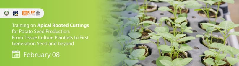 The panel will include experts from CIP, the Central Potato Research Institute (CPRI), the Indian Council of Agricultural Research (ICAR), and the University of Horticultural Sciences, Bagalkot (UHS). The panel will include experts from CIP, the Central Potato Research Institute (CPRI), the Indian Council of Agricultural Research (ICAR), and the University of Horticultural Sciences, Bagalkot (UHS).